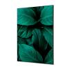 Spannstoff Wanddekoration SET 40 x 40 Botanische Blätter Blau - 1