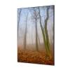 Spannstoff Wanddekoration SET 40 x 40 Herbstnebel - 2