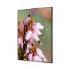 Spannstoff Wanddekoration SET A1 Pinke Blume Erica - 1